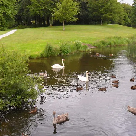 Hillcrest Country Bed & Breakfast Adare