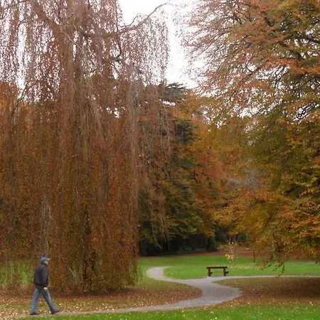 Hillcrest Country Adare